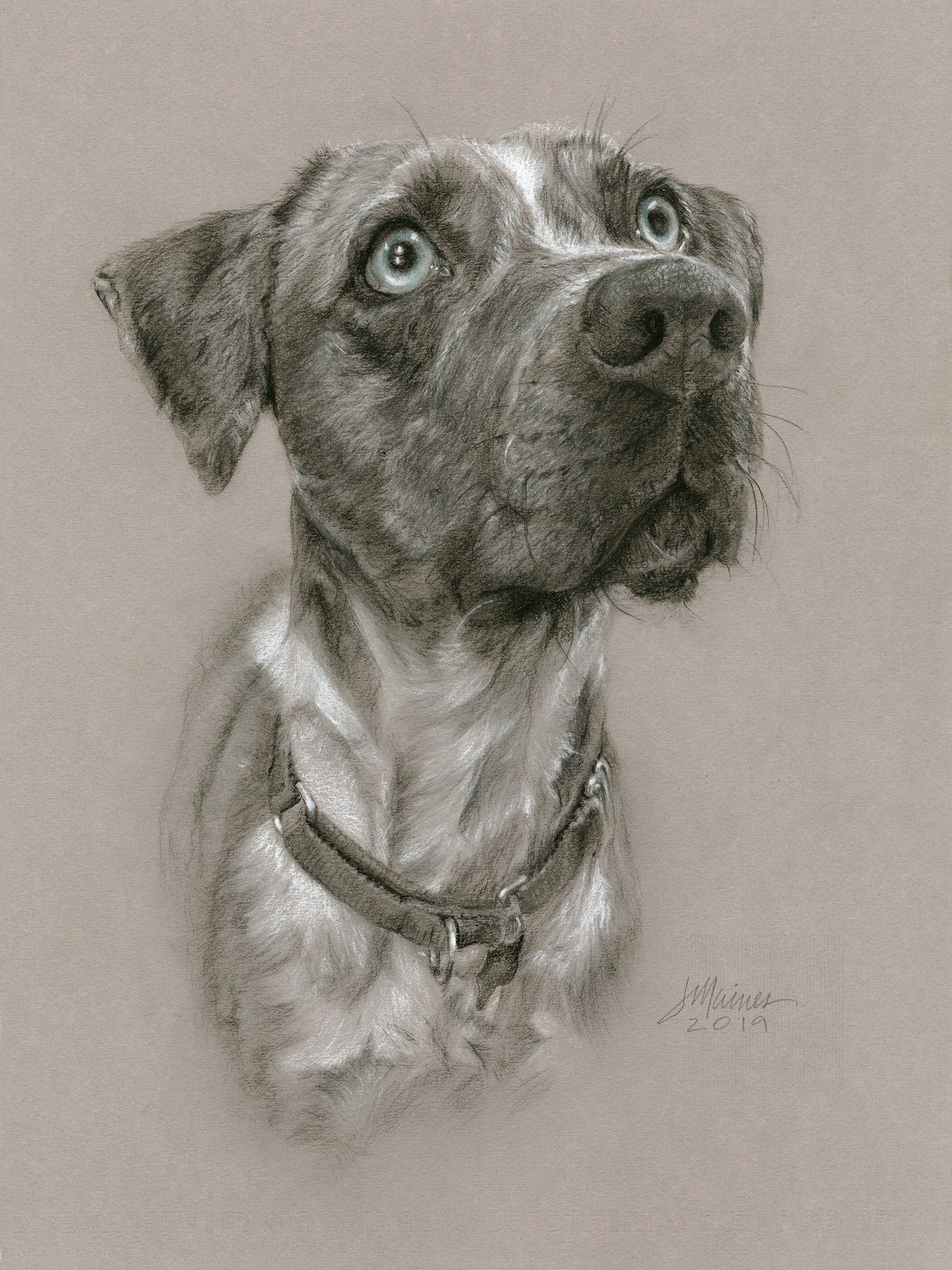Janet Maines Portraits